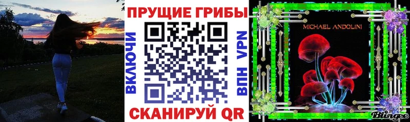 kraken tor  Таганрог  Галлюциногенные грибы Psilocybine cubensis 